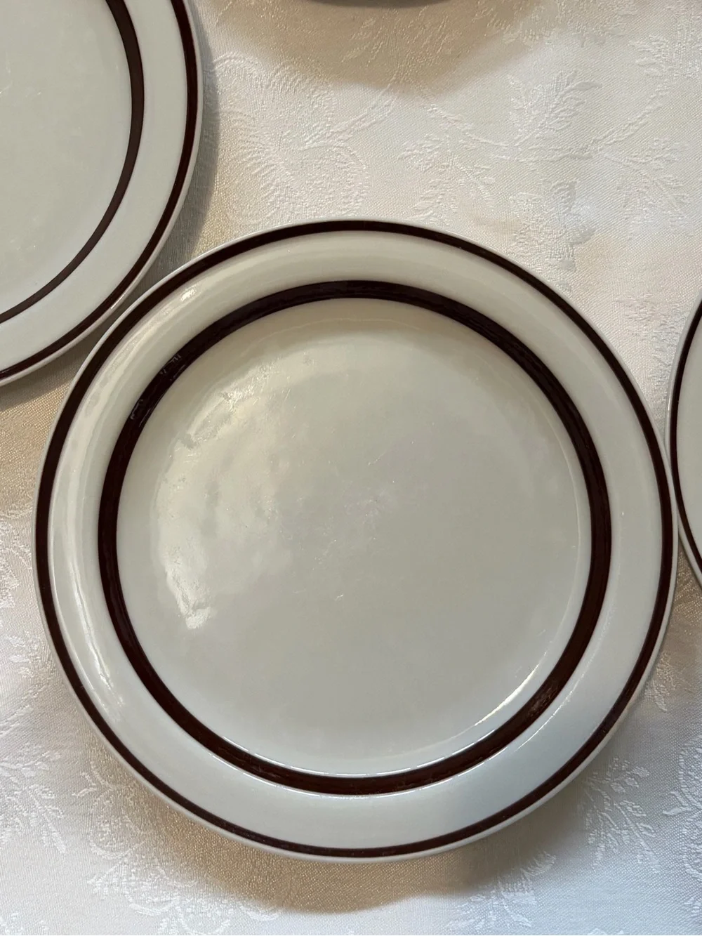 Orbit Stoneware Cream Dinner Plates Brown 221 with Double Rim